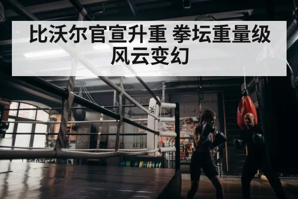 boxer training